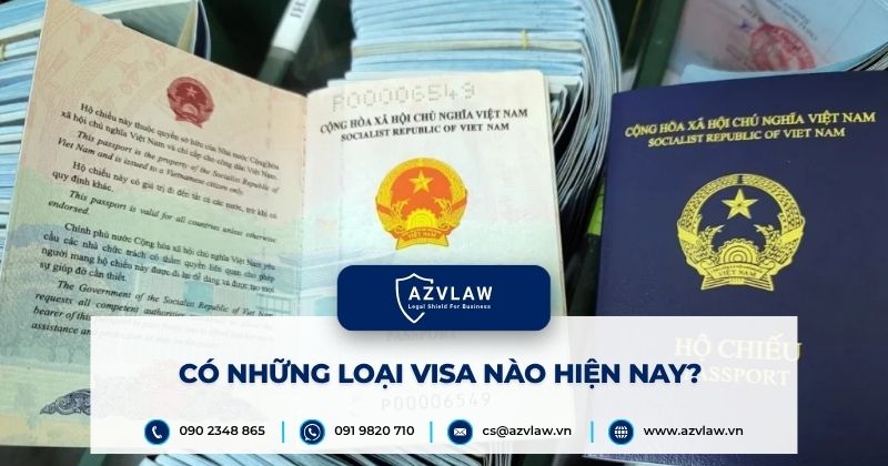 Có những loại visa nào hiện nay?