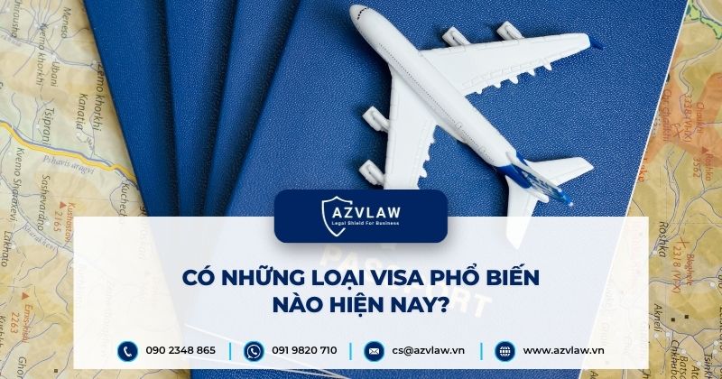 Có những loại visa phổ biến nào hiện nay?