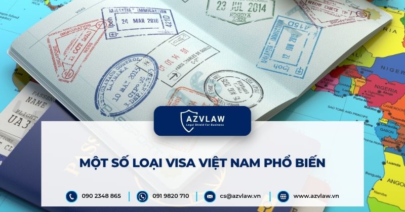 Một số loại Visa Việt Nam phổ biến